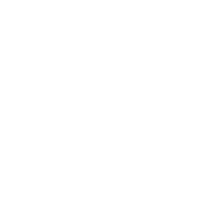 Logo Light Version