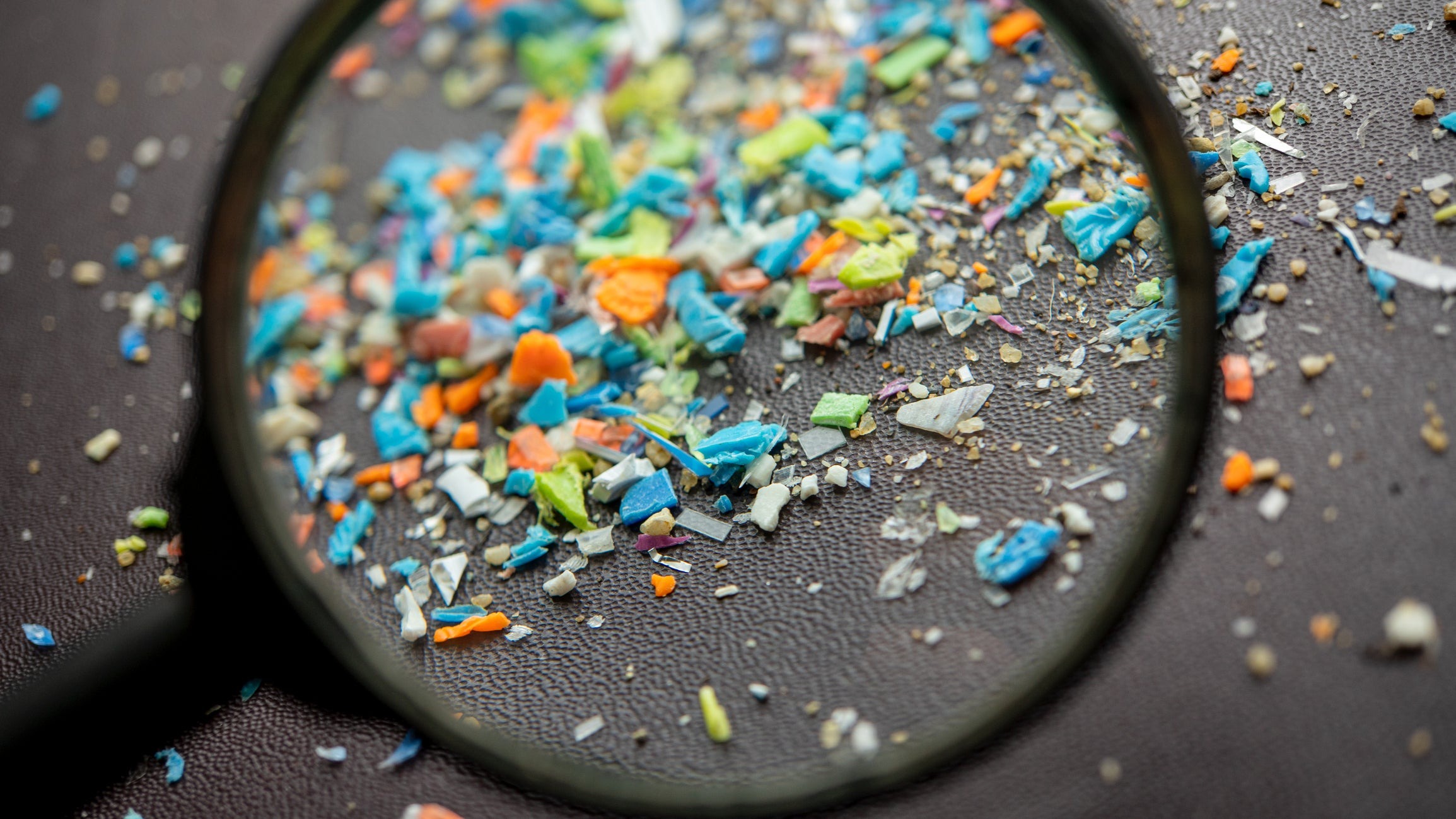 Rác Thải Nhựa Là Gì? Phân Loại, Tác Hại & Giải Pháp 4 Vi nhựa (Microplastics)