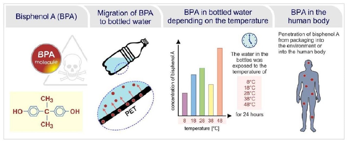 BPA Là Gì? Phân Tích Chi Tiết Về Độc Tính, Rủi Ro và Các Sản Phẩm "BPA-Free" 4 Các Nguồn Phơi Nhiễm BPA Phổ Biến