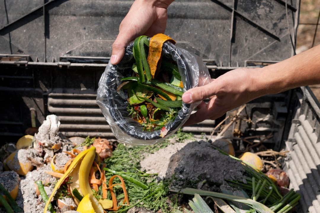 Rác Thải Hữu Cơ: Hướng Dẫn Phân Loại, Xử Lý và Tái Chế Thành Phân Bón 2 Rác thải hữu cơ