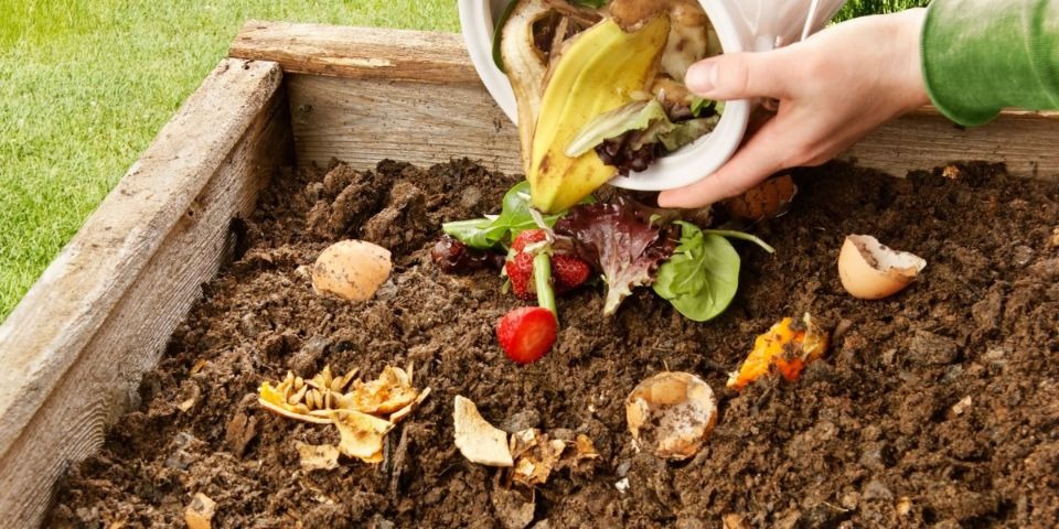 Rác Thải Hữu Cơ: Hướng Dẫn Phân Loại, Xử Lý và Tái Chế Thành Phân Bón 8 Xử lý rác thải hữu cơ